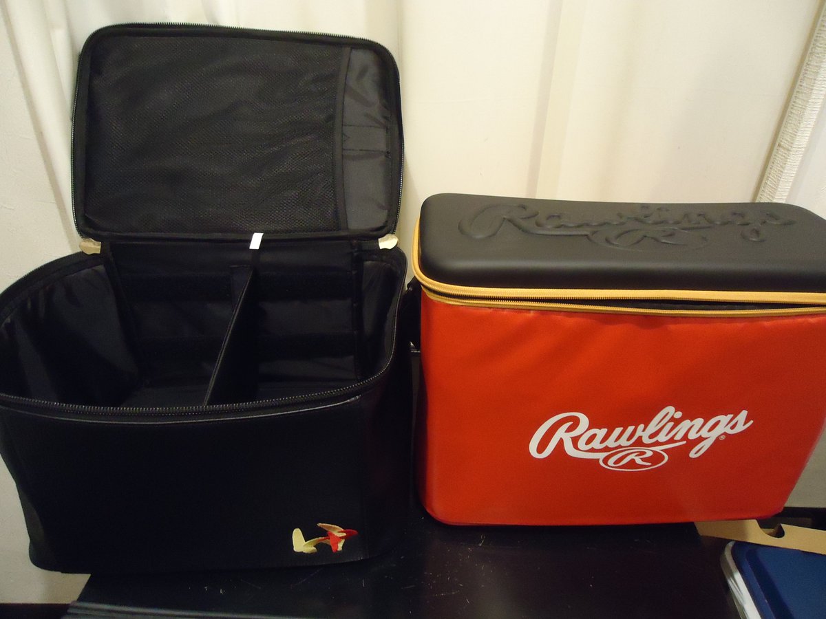 セラミックパワーギア 限定グラブケース セラミックパワーギア 限定