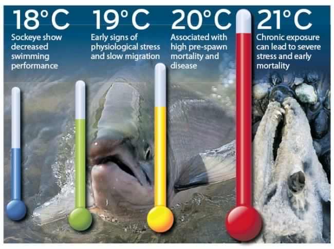 Greg Taylor tweet media