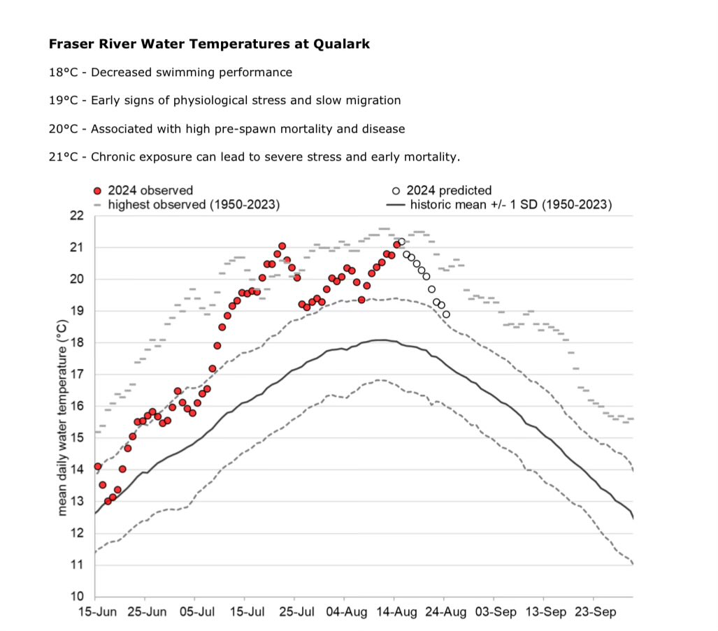 Greg Taylor tweet media