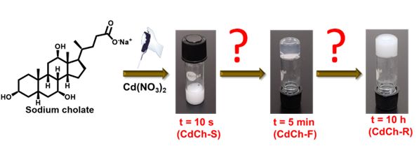 Uday Maitra (@maitrau) on Twitter photo Congrats, Manaranjan and Indranil for your hard work in understanding the pathway complexity in the gelation process of Cd-cholate. Many thanks to Prof. Subi George for this fine collaboration! DOI:10.1021/acs.chemmater.4c01125 <a href="/SubiJGeorge/">Subi George</a> <a href="/ChemMater/">Chemistry of Materials</a> Congrats, Manaranjan and Indranil for your hard work in understanding the pathway complexity in the gelation process of Cd-cholate. Many thanks to Prof. Subi George for this fine collaboration! DOI:10.1021/acs.chemmater.4c01125 <a href="/SubiJGeorge/">Subi George</a> <a href="/ChemMater/">Chemistry of Materials</a>
