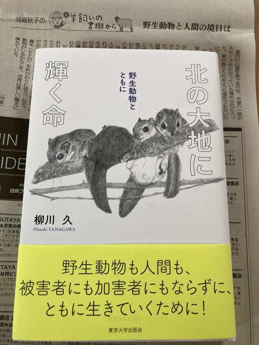 kawasakicheese's tweet photo. 今日の北海道新聞『元羊飼いの書棚から』では『北の大地に輝く命　野生動物とともに』（柳川久著　東京大学出版会刊）をご案内。本文は色々と考えさせられる一方、表紙の絵とエゾモモンガをはじめとする写真がかわいい一冊です。 https://t.co/Tywbo2DkSb