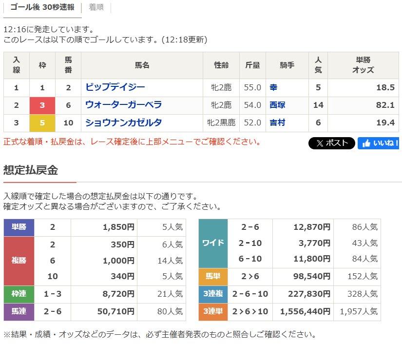 コスモバルク現地的中単勝馬券