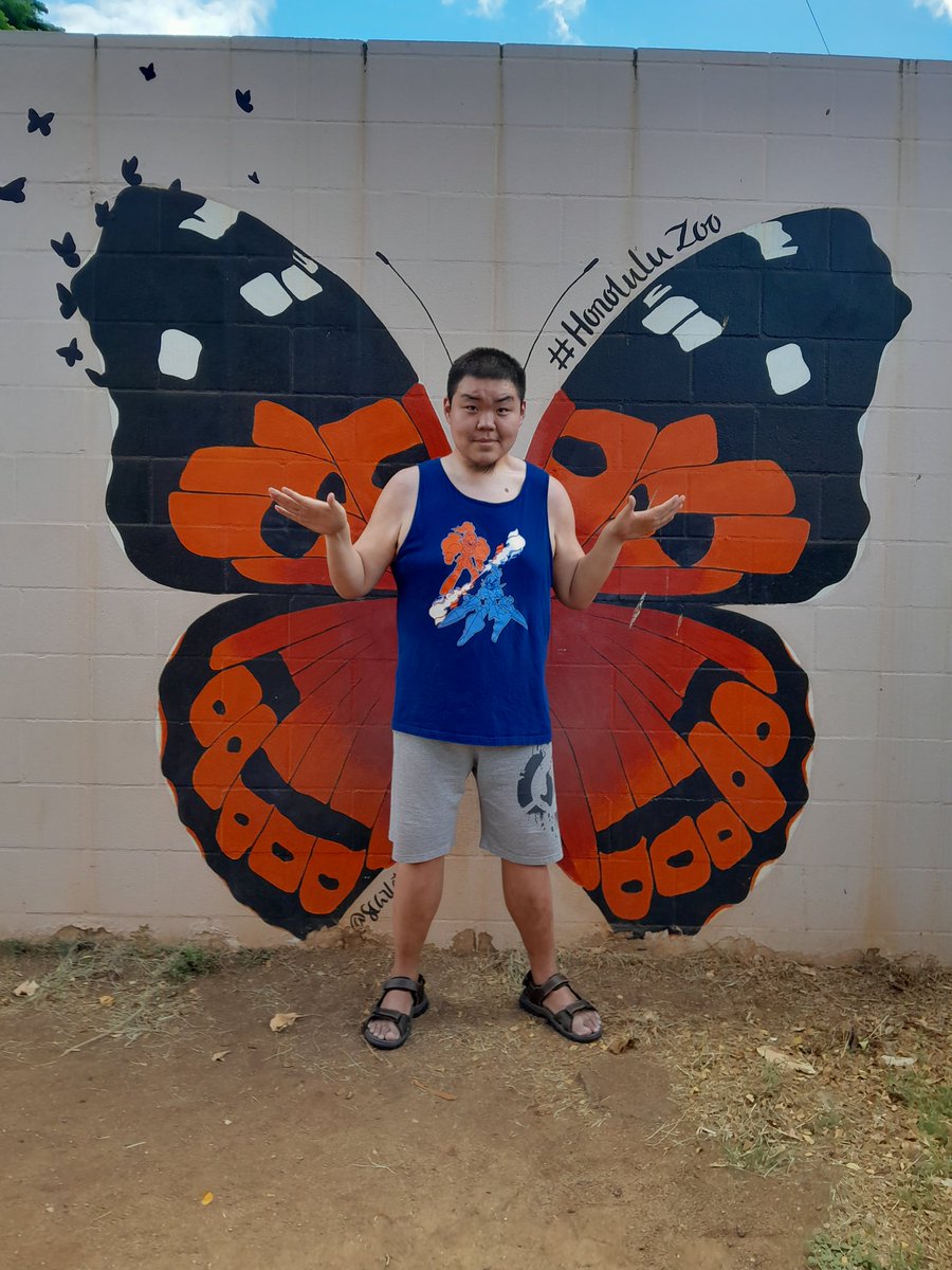 HupuMetapod tweet media