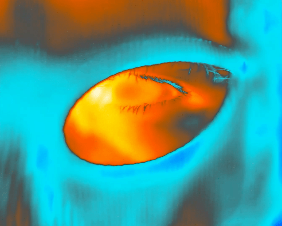 HarmonyKorine - Search  X