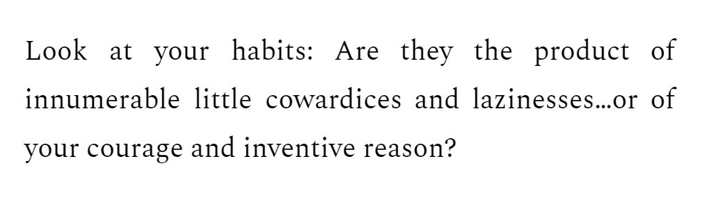 hte.lacigolopot tweet media