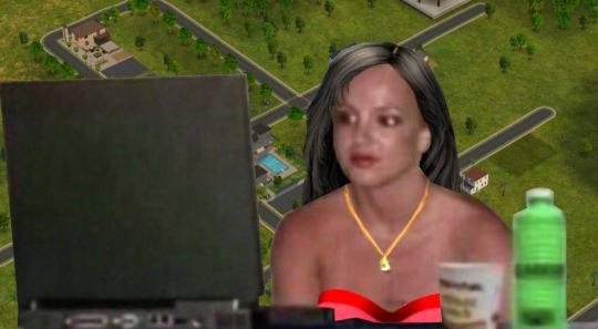 hot take: sims should be a very complex, detailed, and complicated SINGLEPLAYER game. it's a life simulator. not a virtual dollhouse.