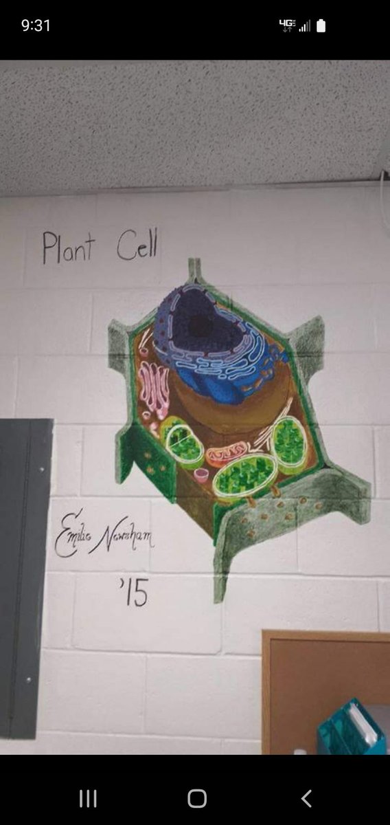 I told my mom about my attempts to draw science figures and she sent me this old photo of a mural I did for our high school bio classroom and asked, “like this?” 😭 I’m not sure where this skillset went but I’d like it back!