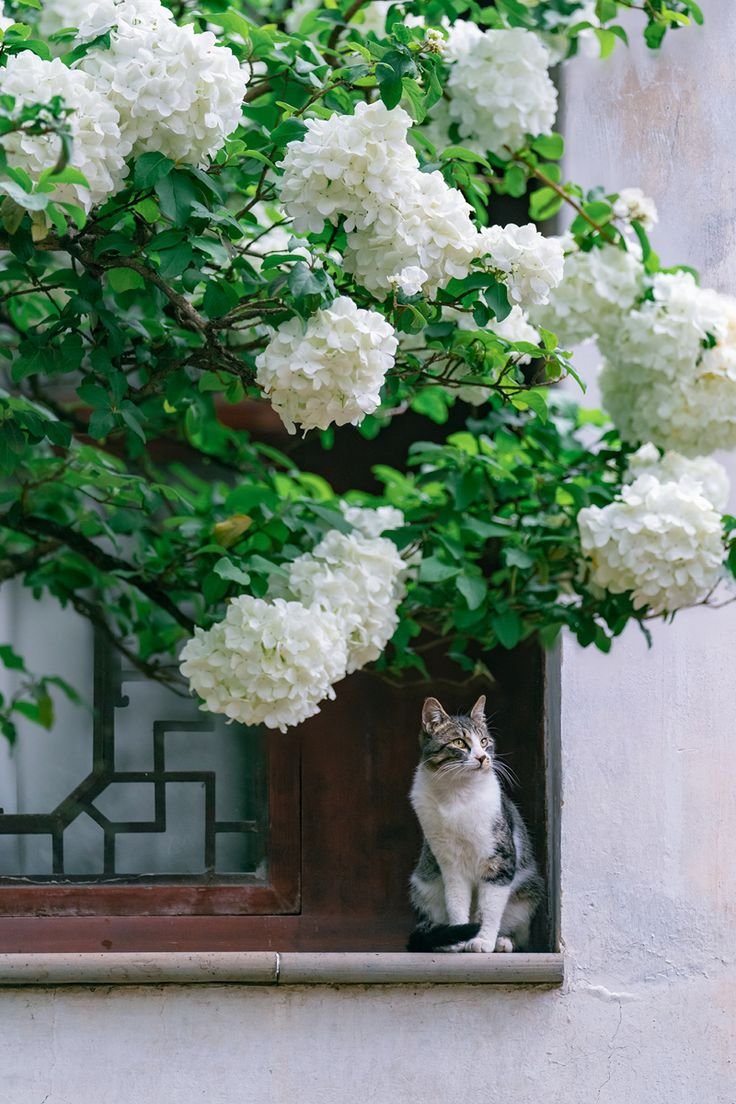 IndivisYagami's tweet photo. Women and cats will do as they please, and men and dogs should relax and get used to the idea.
— Robert A. Heinlein https://t.co/aavv6UEdy6