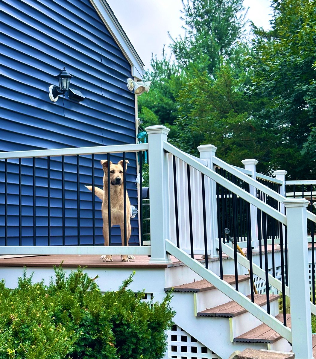 Field Marshal of the Han Dynasty tweet media