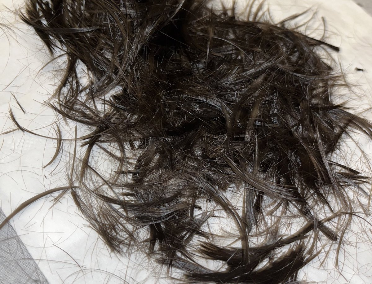 evilbobdylan's tweet photo. cutting my hair off rn #GOODBYEHAIR goodbye foreverr GONE #gone https://t.co/ScZP1QNk59