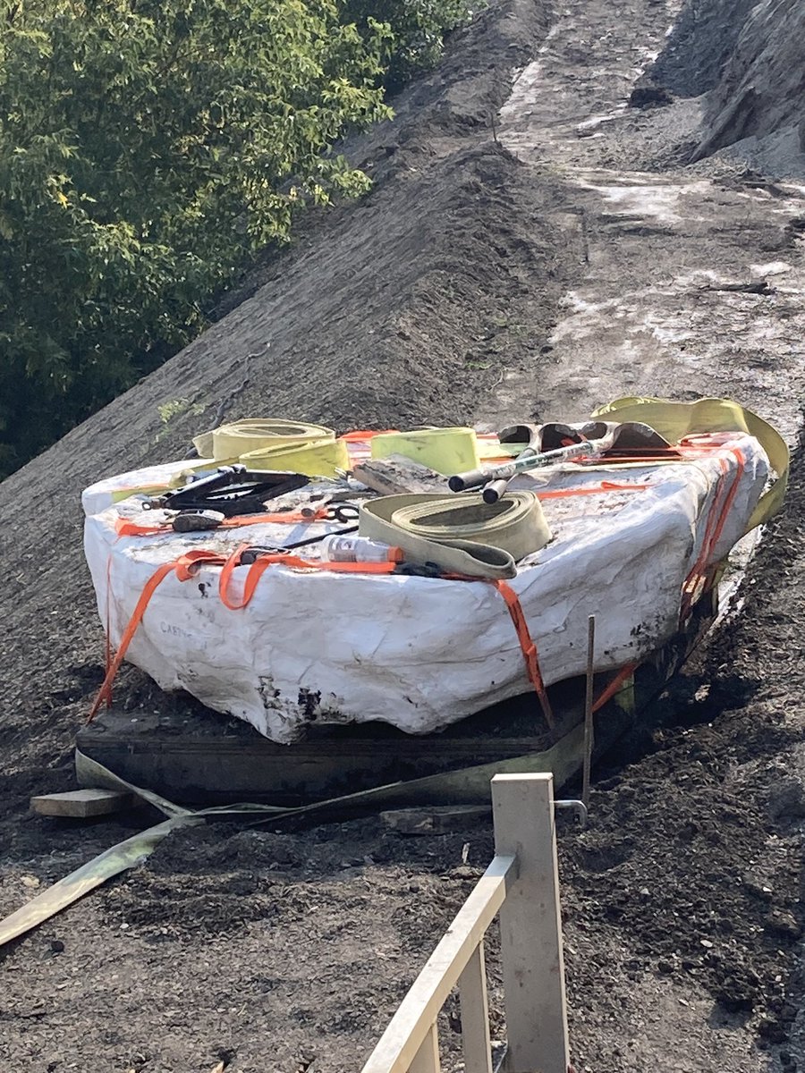 dys_dragonborn's tweet photo. Shoutout to @NDGSPaleo for letting people volunteer on fossil digs. I helped at the Pembina Gorge fossil beds, in the same place and with some of the same people that discovered *Jormungamdr walhallaensis*. The second picture is Jimothy the Ichthyodectes in a plaster cast. https://t.co/17MXF2Hhk5