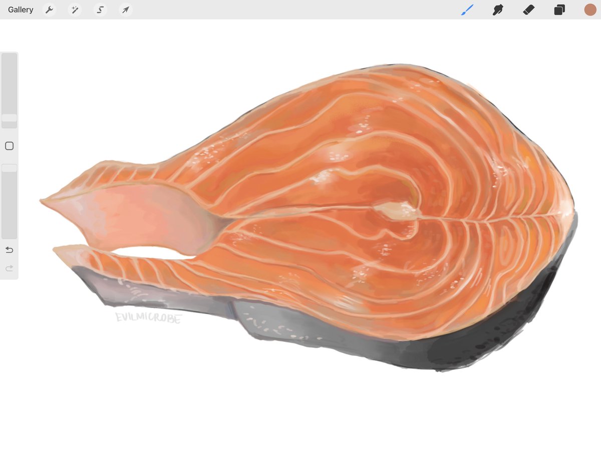 ryoko kui drew salmon, i also draw salmon