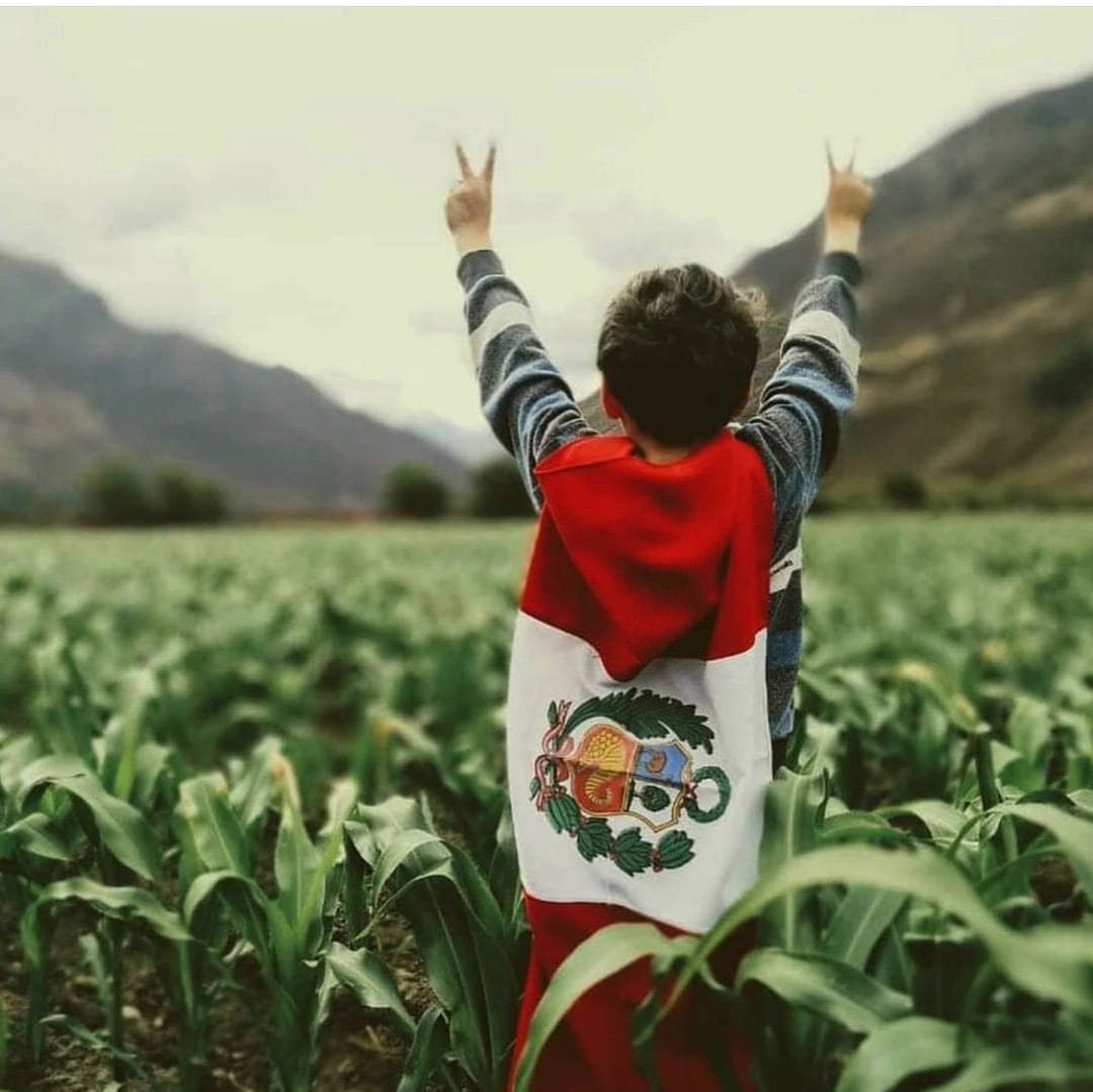marcaPERU's tweet photo. Ellos son la alegría, la esperanza y el futuro de nuestro querido país. Debemos protegerlos, educarlos y guiar sus pasos siempre. ¡Feliz día a todos los niños del #Perú! 🧒🏾🇵🇪👧🏻

📸: hacienda_sarapampa (Instagram)

#MarcaPerú #DíaDelNiño https://t.co/Mi2xz5KJzz