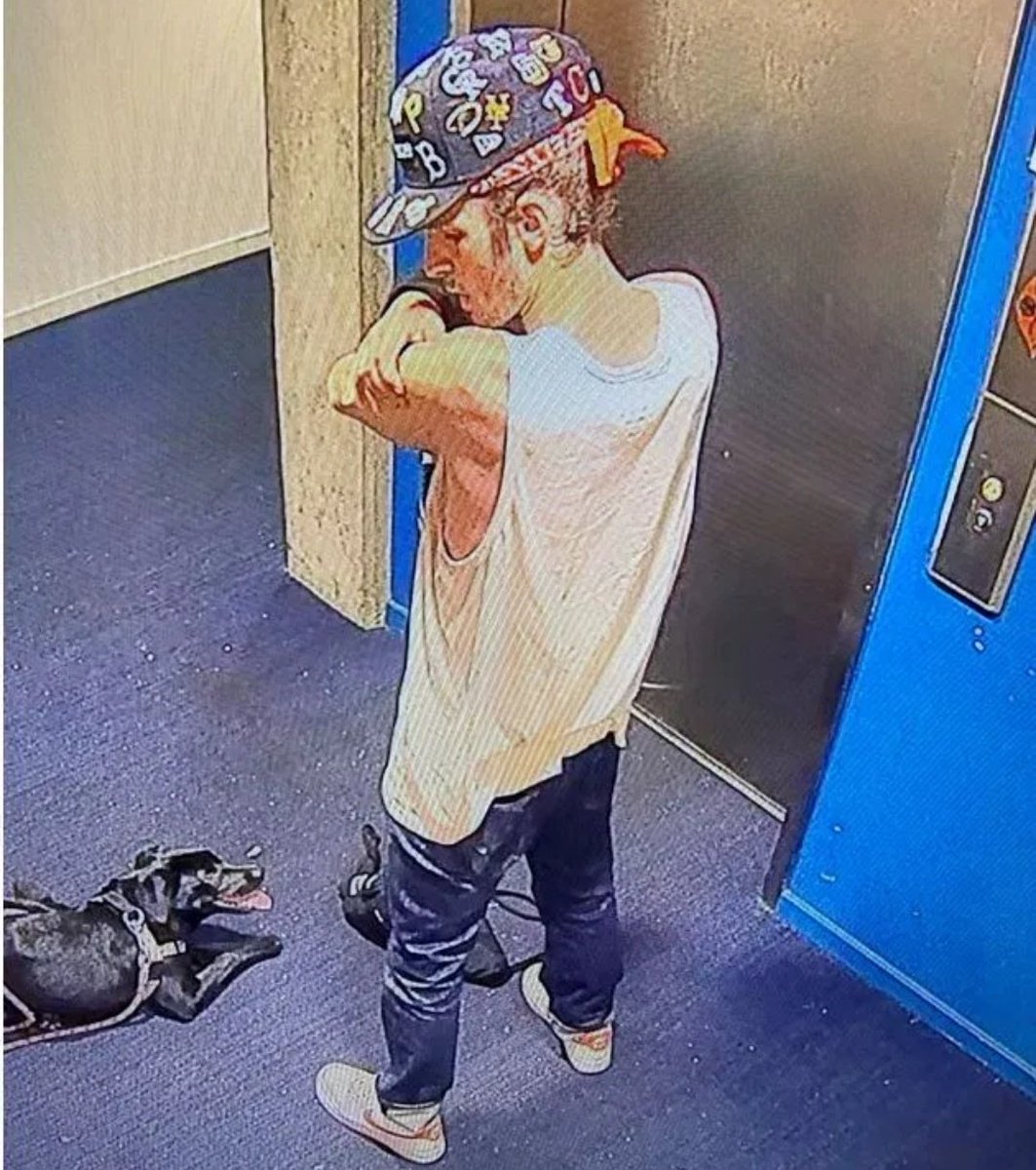 CoffindafferFBI's tweet photo. Here is the dog beater!

Please use your platforms and let's get this savage identified so LE can arrest him. 

Hat Tip: @MrAndyNgo
@Cynthia_T_Anne

#Portland
#Oregon https://t.co/DopqLc5Lzk