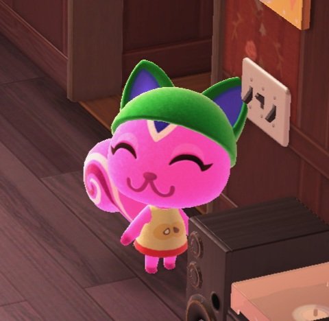 My Animal Crossing island does NOT contain Wario. However, it does contain Peanut, and she more than makes up for it :)