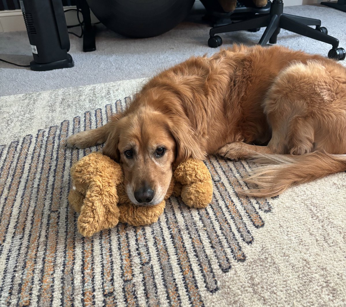 Dillon Mulroy tweet media