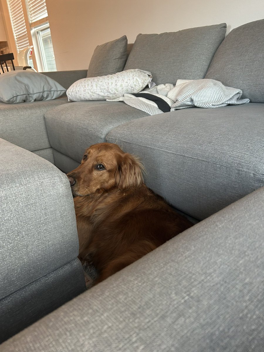 Matt Crowder tweet media