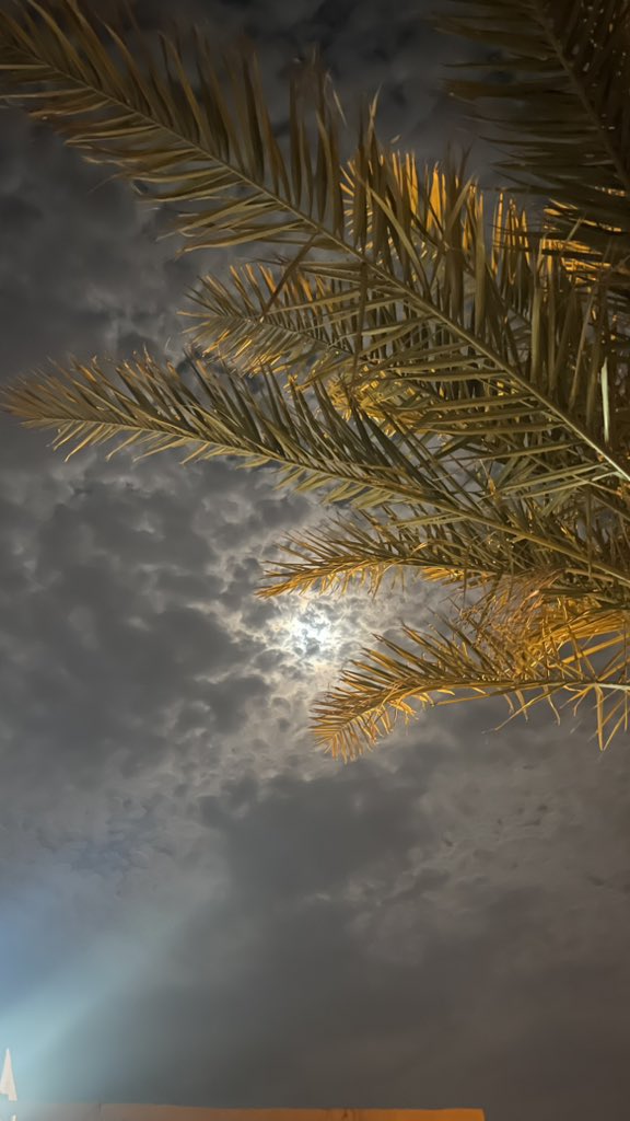 اللهم قوِّني بِك حين أضعف، وأجبرني حين أنكسر، وكن عزمي وقوتي فلا حول ولا قوة لي إلا بِك.