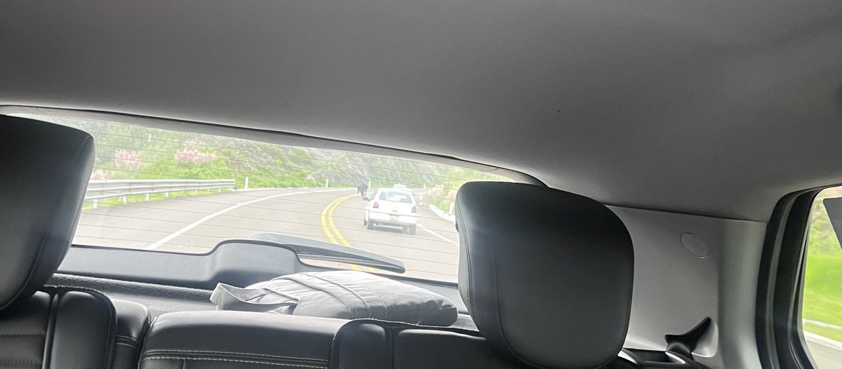 BChontales's tweet photo. @GN_Carreteras
IMPORTANTE ⚠️⚠️‼️
Objeto semoviente sobre la superficie de rodamiento en la “Carretera Valle de Bravo - Toluca” 🛣️ 
Coordenadas: 19.267761,-100.062386 https://t.co/DEa0P4oFhK