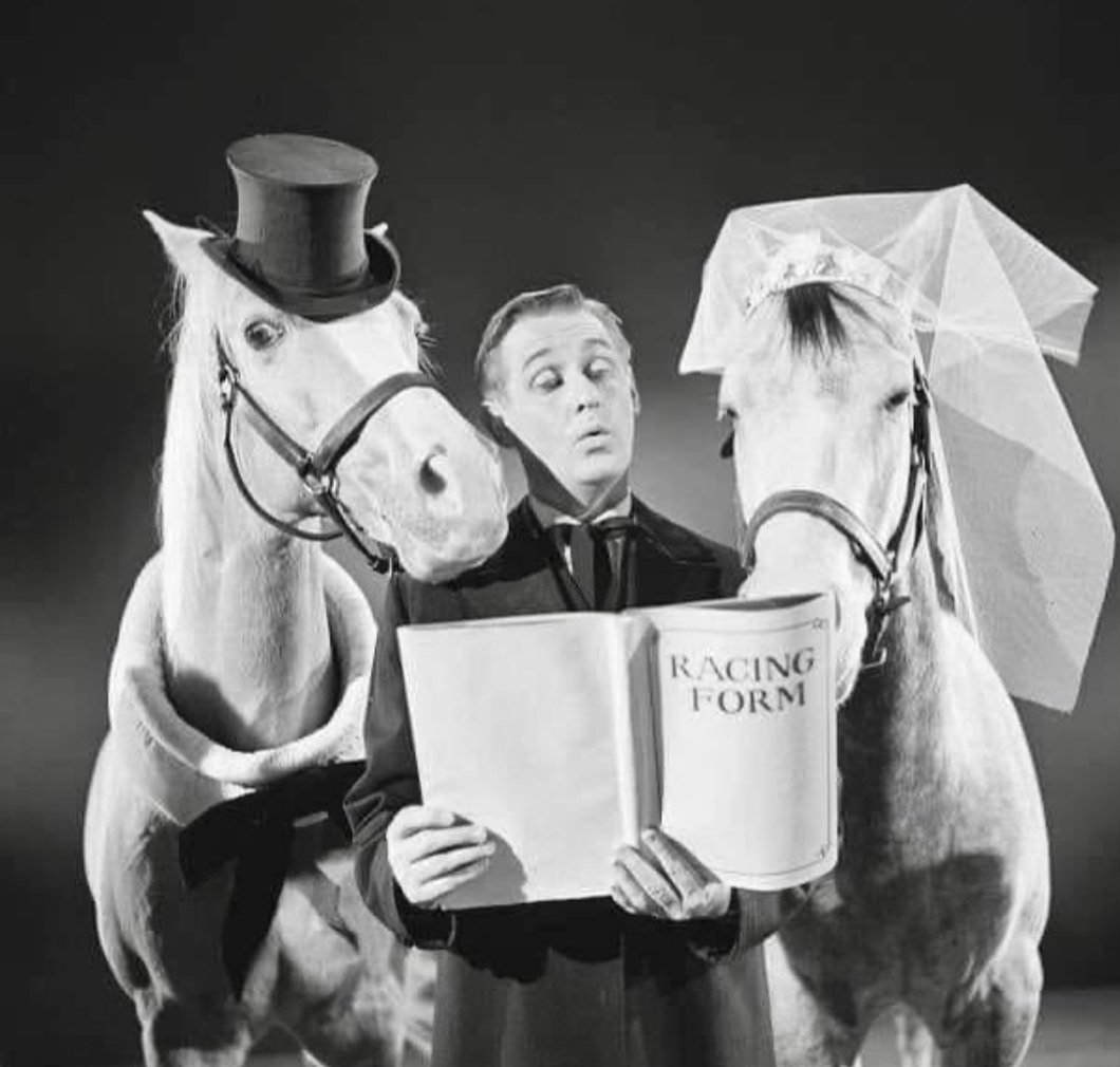 A horse is a horse of course,the famous Mister .......