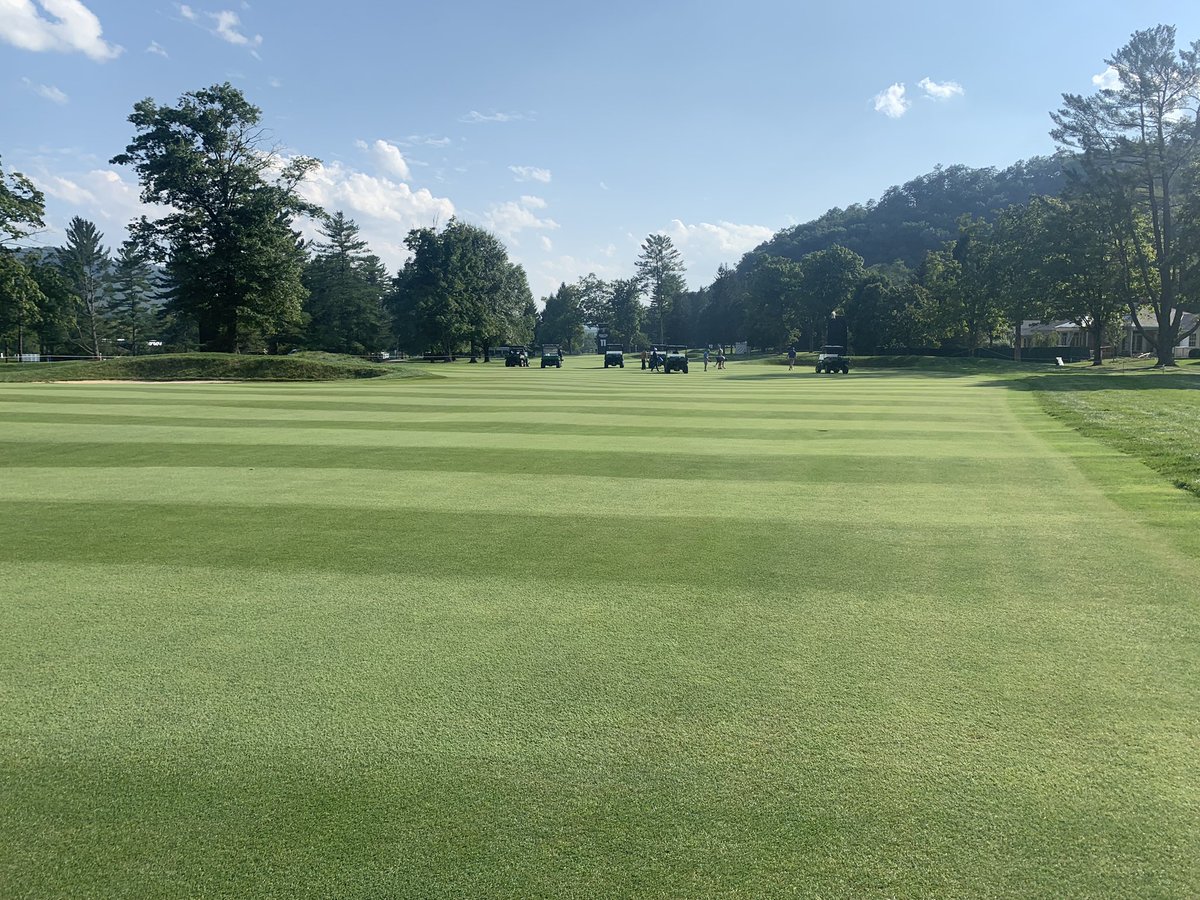 KellyShumate4's tweet photo. Polyon doing it’s thing @540jimw @HarrellsLLC https://t.co/SfeY4EvsU1