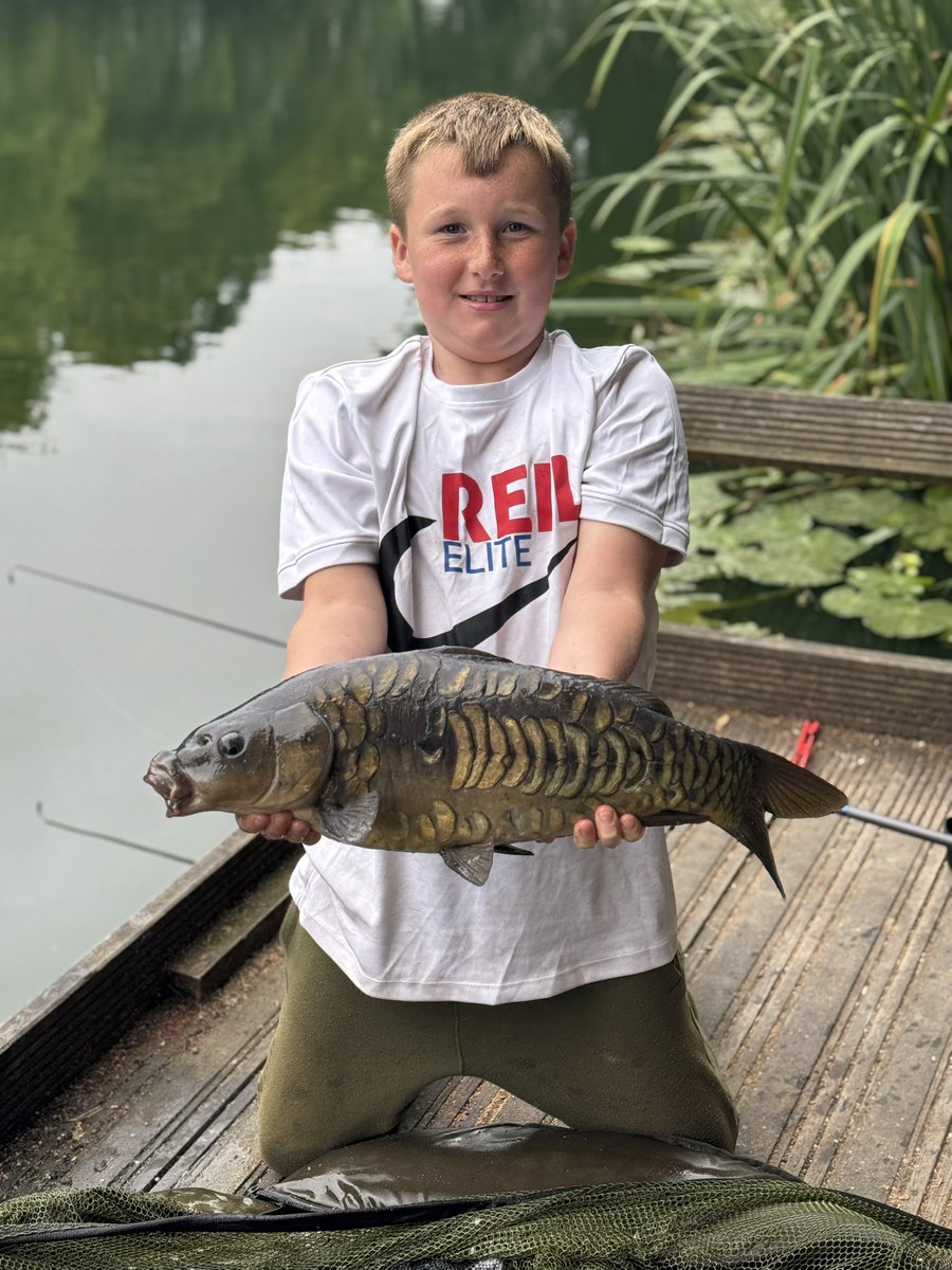 Stephen Boyes tweet media