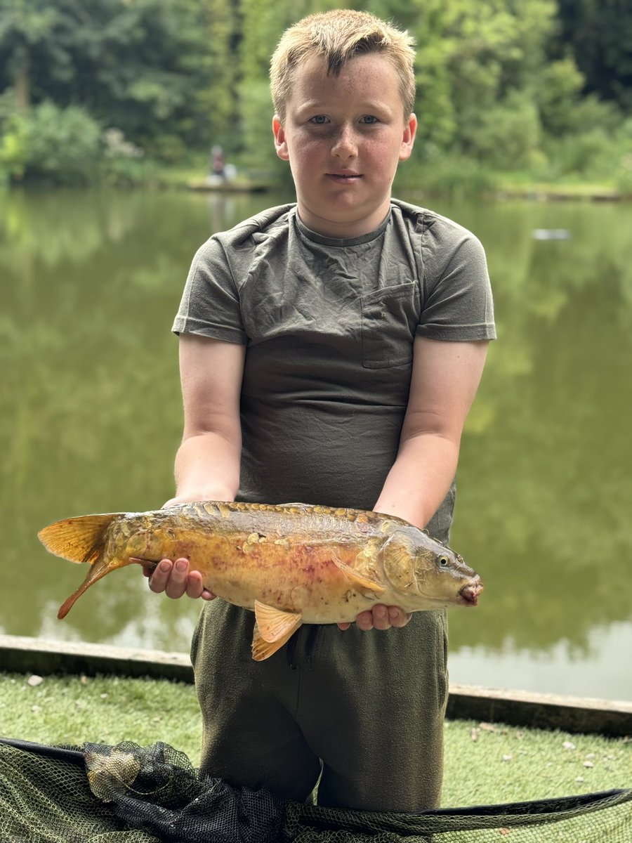 Stephen Boyes tweet media