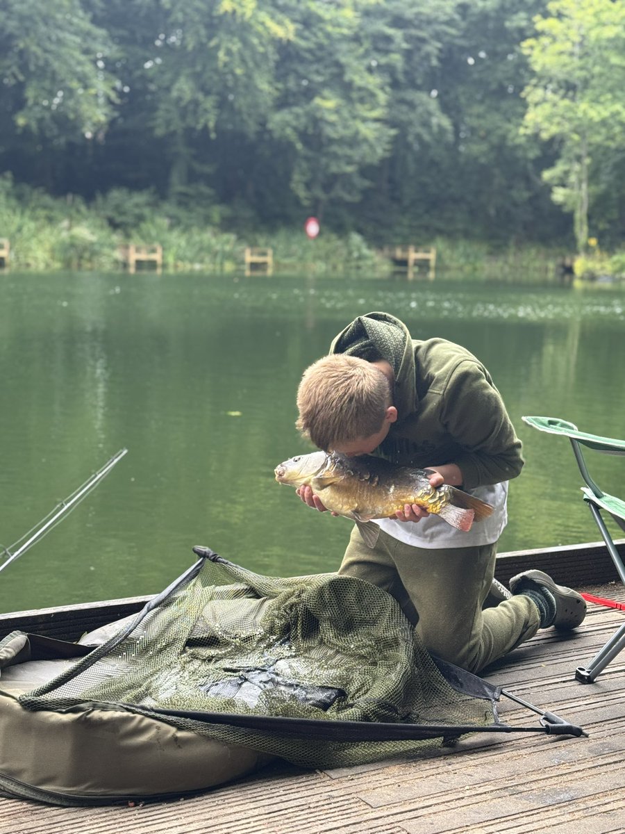 Stephen Boyes tweet media