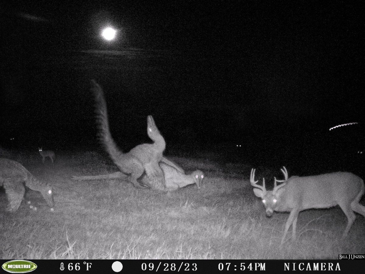 Orribec (@orribec) on Twitter photo  Orribec (@orribec) on Twitter photo