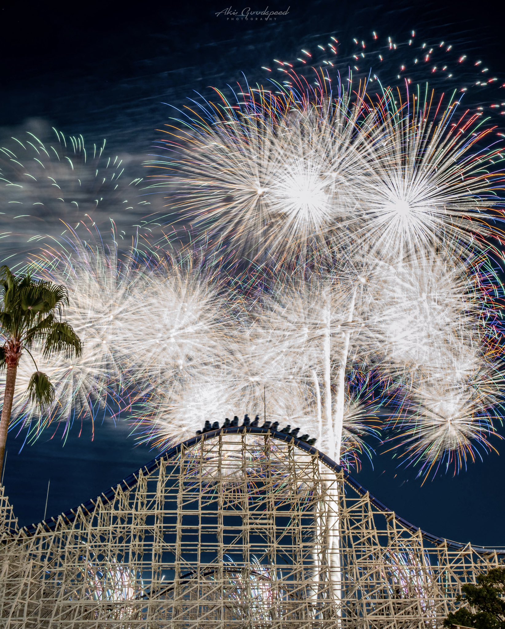 極上白鯨 真っ白 極上白鯨 真っ白 極上白鯨 真っ白 バイクはフライデー
