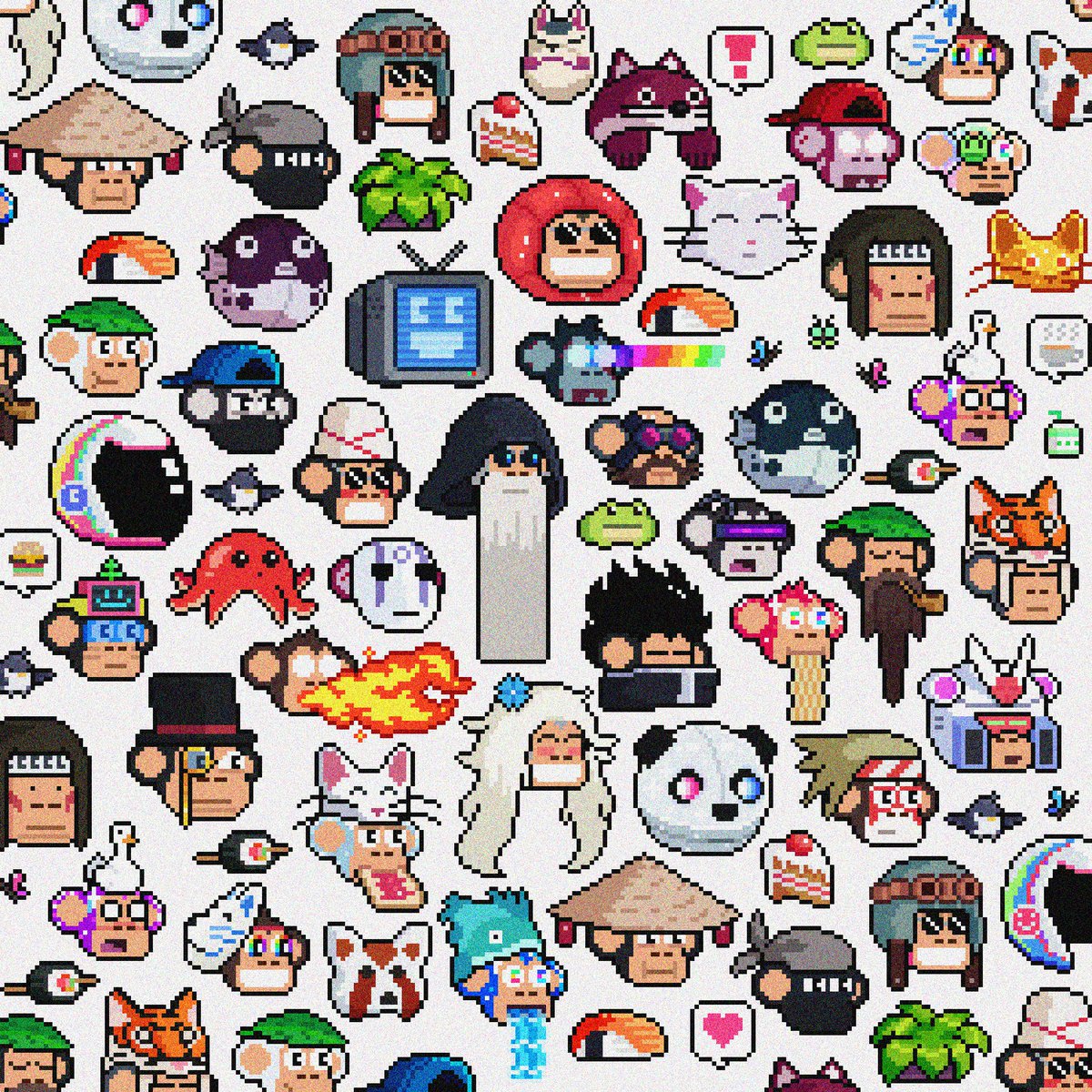 Chimpers Dojo tweet media