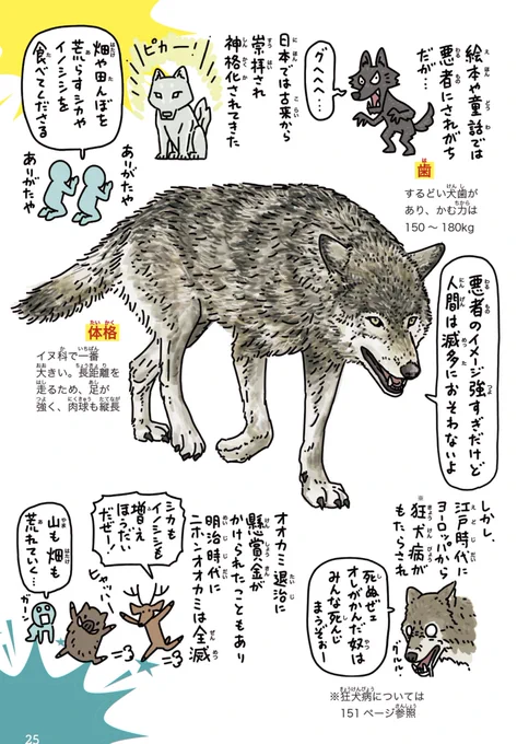 【ニホンオオカミ】 
https://t.co/uBrlWLtIjo
日本では大神として古来より崇拝されていたが、江戸時代に欧州からもたらされた狂犬病、加えて狼退治に懸賞金がかけられたことで明治時代に絶滅。結果、鹿&猪は増え放題。田畑が荒れる原因となった。
#precure #プリキュア #わんだふるぷりきゅあ 