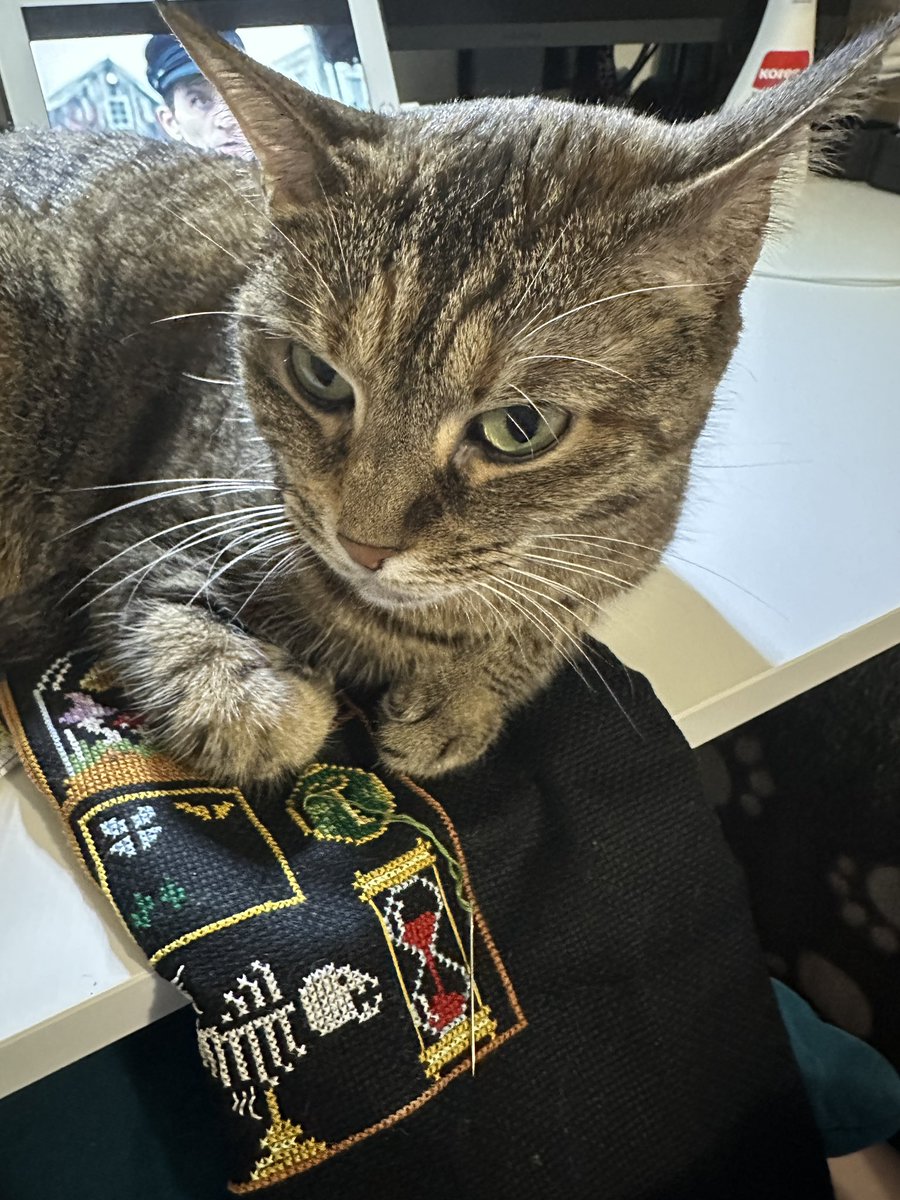 Le chat qui vient et qui se pose sur ma broderie PENDANT que je travaillais dessus.

Bon bah j’ai changé d’activité. J’ai papouillé le chat.