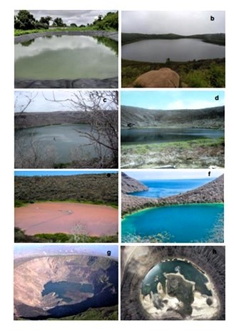 Prof. Dr. Carlos López tweet media