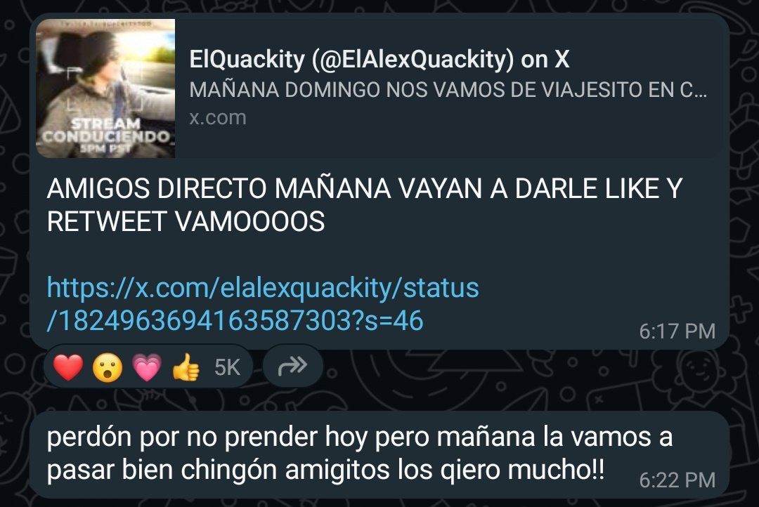 QuackityBell's tweet photo. 💬 | Quackity via his WhatsApp channel! https://t.co/LiEuHiNI11