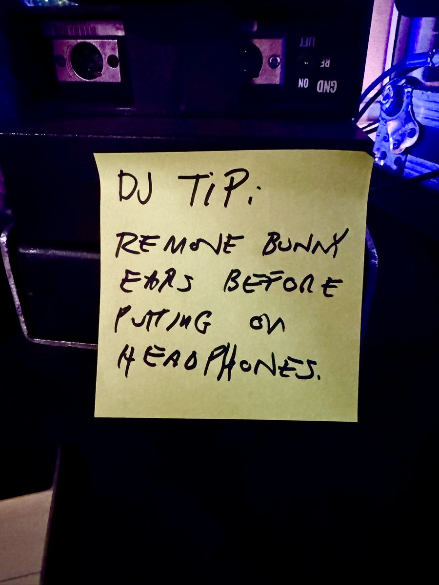 THE BUNNY tweet media