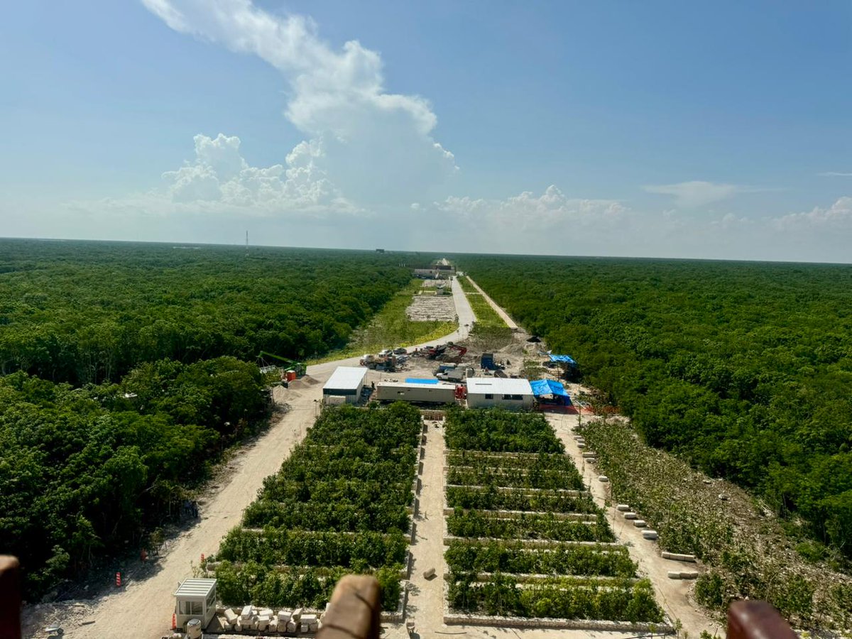 MeyerFalcon's tweet photo. Estamos trabajando en Tulum, supervisando el Parque del Jaguar 🐆
Desde las torres de avistamiento 🦅 podrá verse la zona arqueológica y el mar caribe. Además, vean cómo va la reforestación de lo que era el antiguo autódromo y pronto conexión con el @TrenMayaMX
#TulumLate 🌴 https://t.co/rmc1KhCr5F