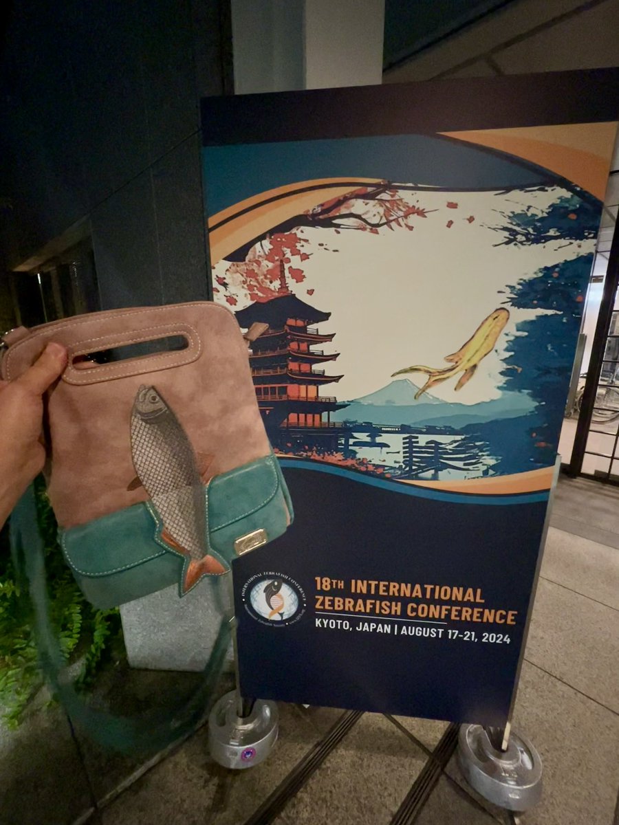 Dorothee Bornhorst tweet media