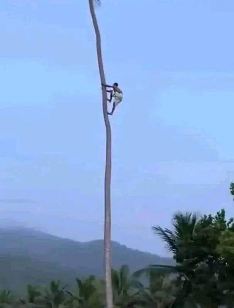 ela: amor tô com vontade de tomar água de coco

eu: