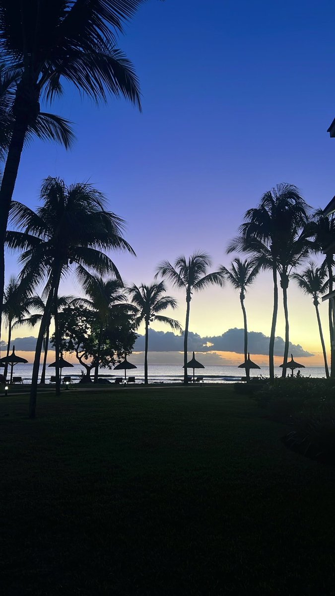iiD7MEv's tweet photo. @AviationWG Mauritius 🇲🇺 https://t.co/mN9S5gYe3m