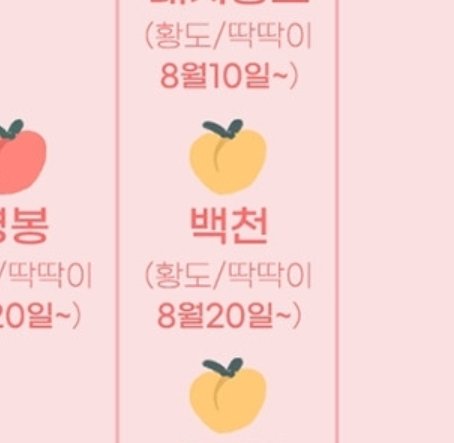 작가님………………… 혹시 백천생일이 8월 20일인 이유가…………………………………………………………………………