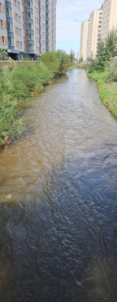 Дунд гол сайхан урсаж байна Болж дээ 
Хүний хөдөлмөр сэтгэлийг үнэлж сурцгаая