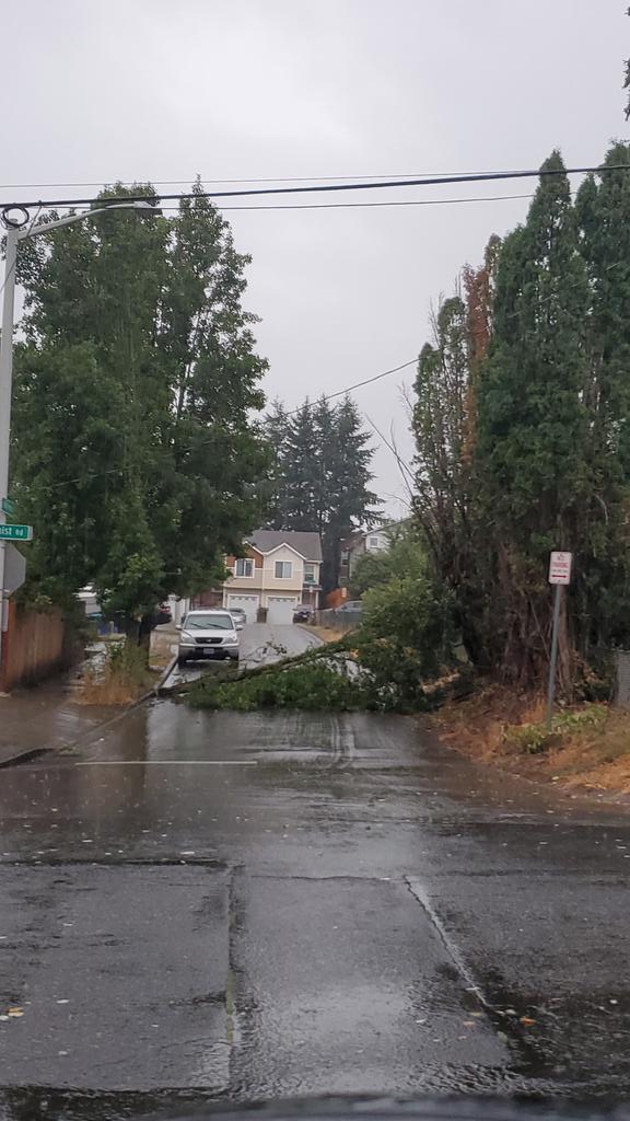 chriscabe3's tweet image. Wind damage in #greshamOR #orwx @KOINNews @KelleyKOIN @JoshCozartWx @NatashaKOIN6