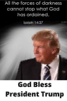 MAGA CHANGO🇺🇸✝️🙏🏽✝️ tweet media