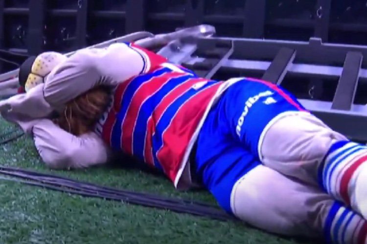 Silêncio! O líder está dormindo! 👑🦁😴