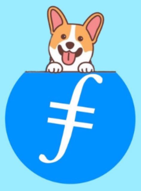 CORGI_47's tweet photo. @GoodBoyCORGI @Decentralizd @FileCorgiCTO New excitement starts on Monday ✅✅ https://t.co/4Jvuz2ujLq