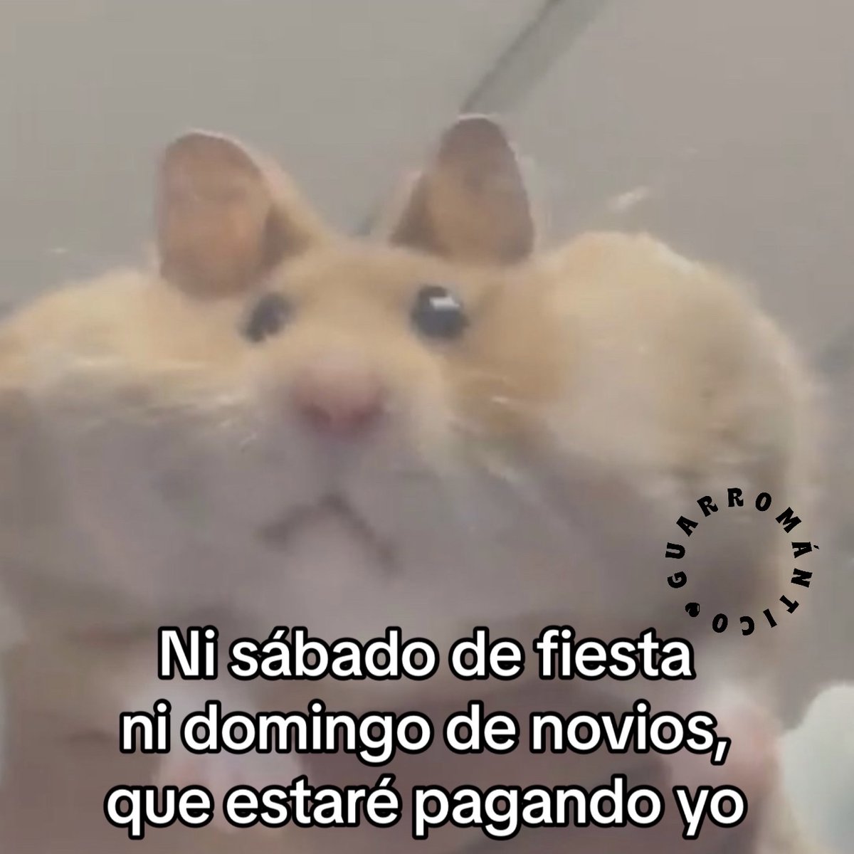 Guarromantico_'s tweet photo. Xq será? https://t.co/fCeZWeLdg4