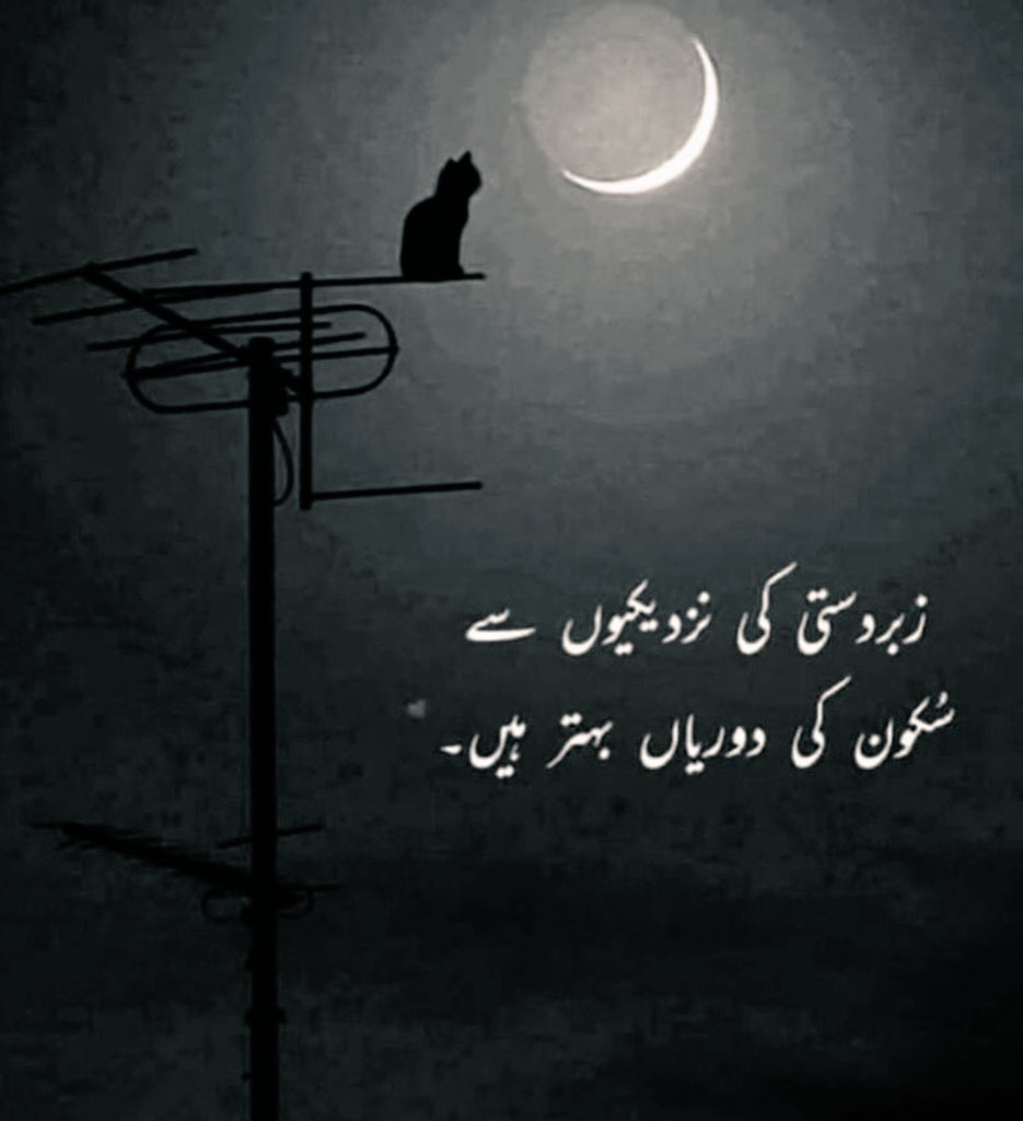 FAHEEM YOUSAF (@securit12081931) on Twitter photo 