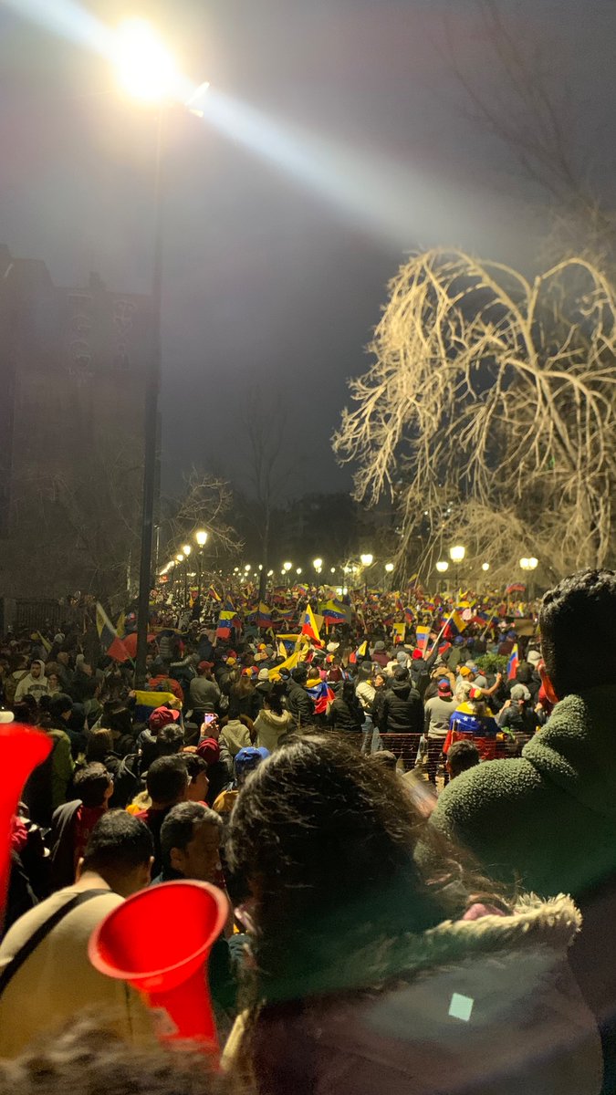 ARivasg12's tweet photo. Por una Venezuela Libre. 
#YoSalíPorVzla #chile #venezuelalibre https://t.co/Y4hDndu2xU