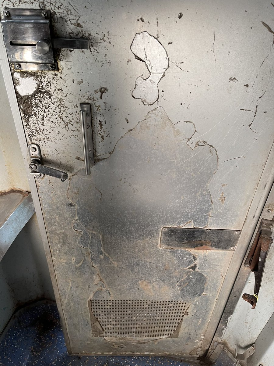 PraGa🚀 tweet media